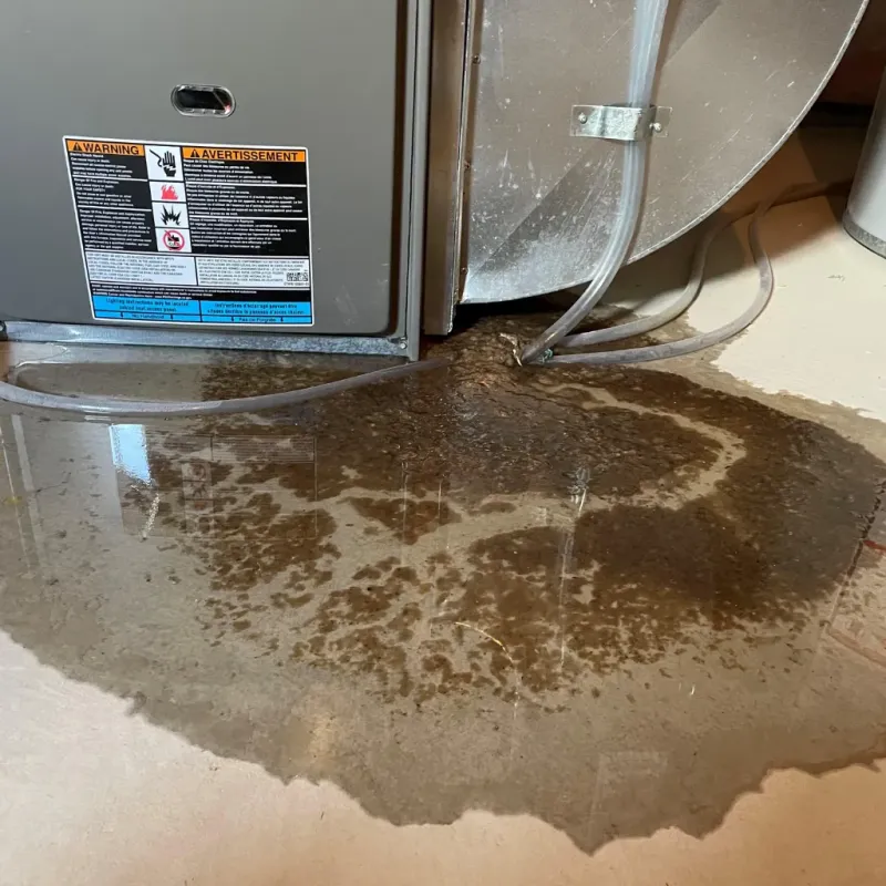 Appliance Leak Cleanup in McDonald, PA